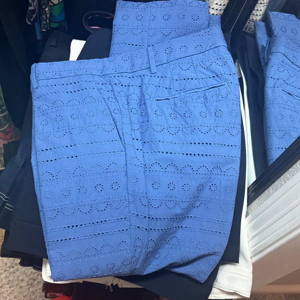Ann Taylor Blue Cropped Pants